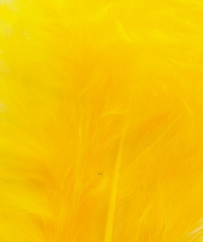 Veniard Dye Bag Bulk 100G Golden Yellow Fly Tying Material Dyes